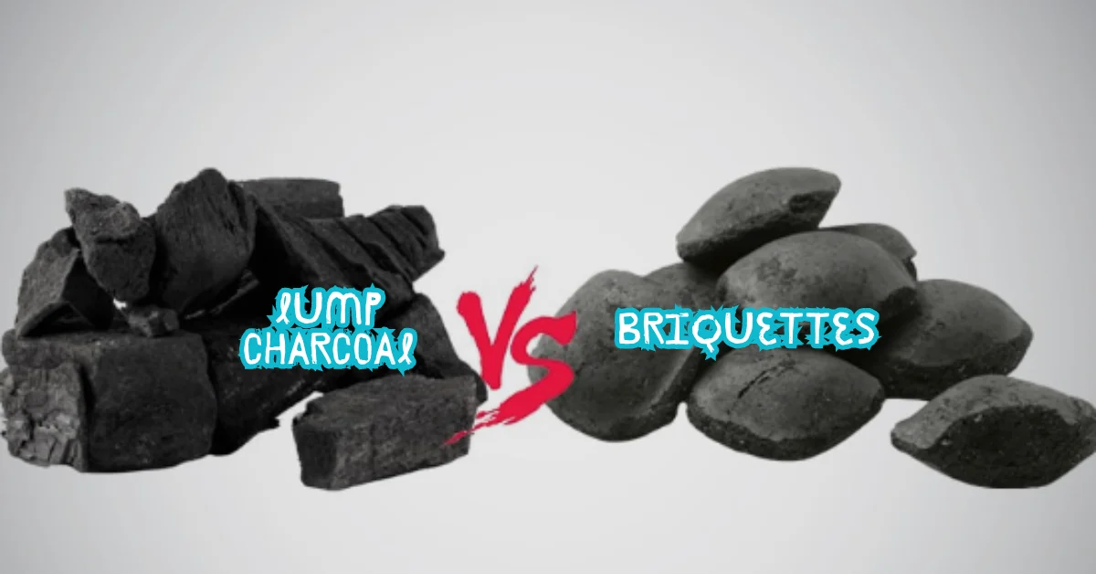 Lump Charcoal vs briquettes